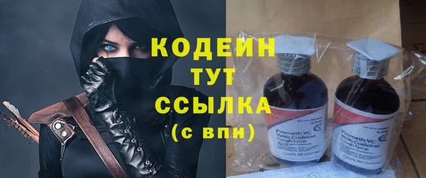 сатива Сосновый Бор