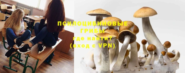 MDMA Заречный