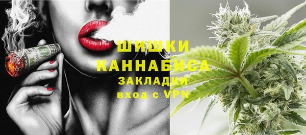 сатива Сосновый Бор