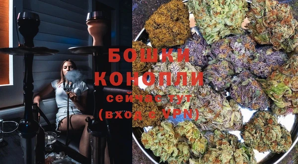 дмт Сосновоборск