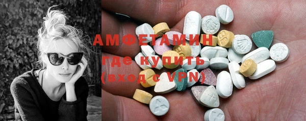 сатива Сосновый Бор